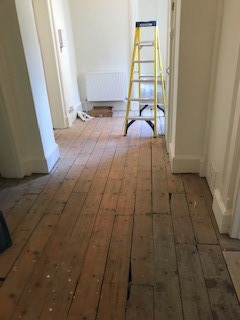 floor restoration service